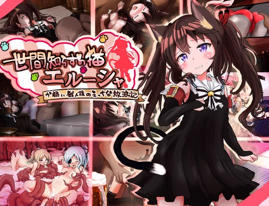 Sheltered Cat Girl Erusha game cover